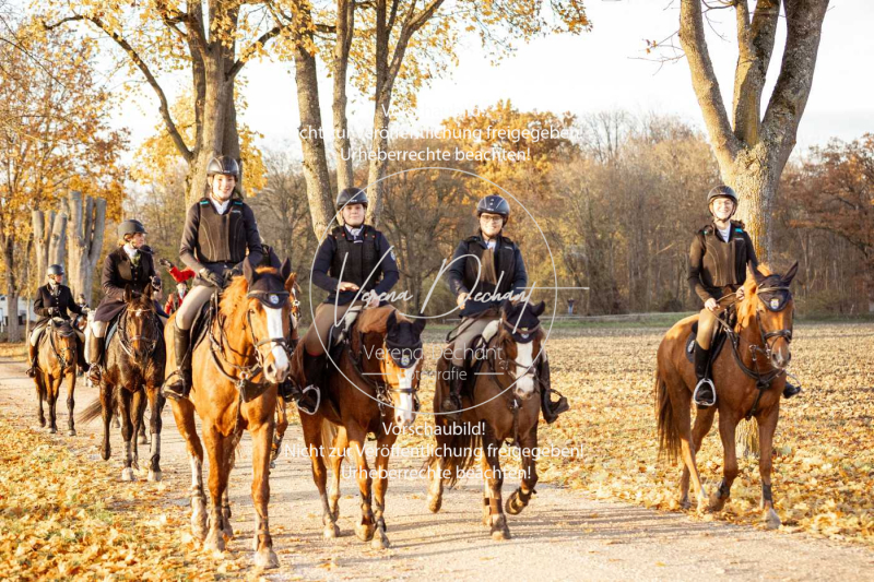 Schleppjagd_Gruenau-954