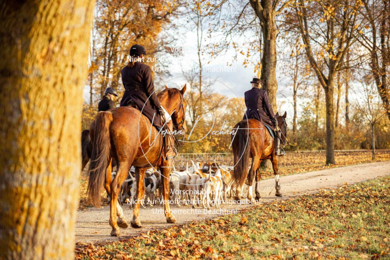 Schleppjagd_Gruenau-966