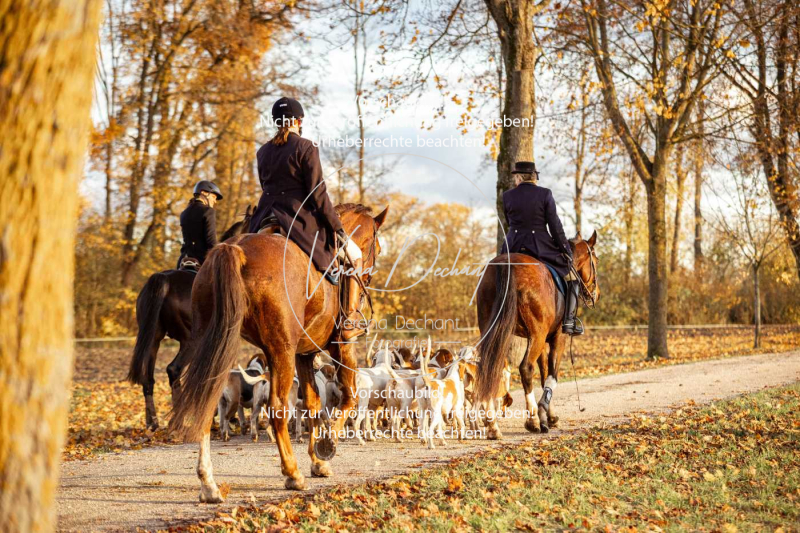 Schleppjagd_Gruenau-967