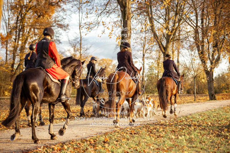 Schleppjagd_Gruenau-970