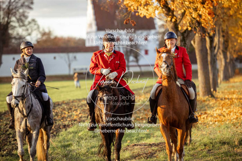 Schleppjagd_Gruenau-990