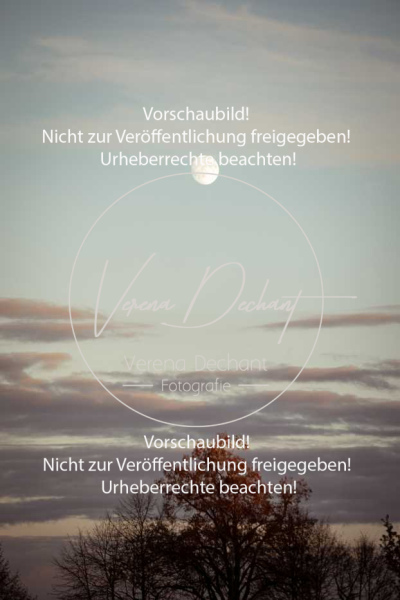 Schleppjagd_Gruenau-998