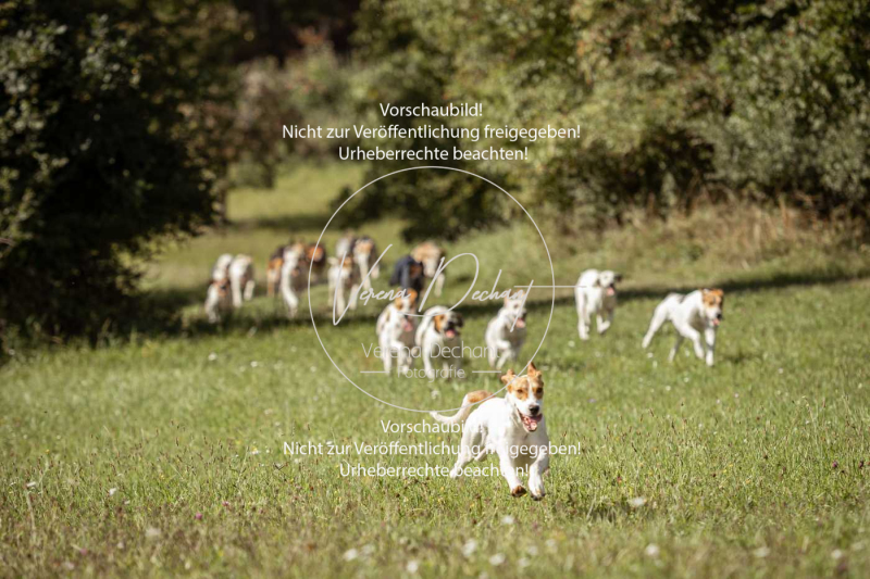 Gundelsdorf1_2025_100 Gundelsdorf1_2025_100