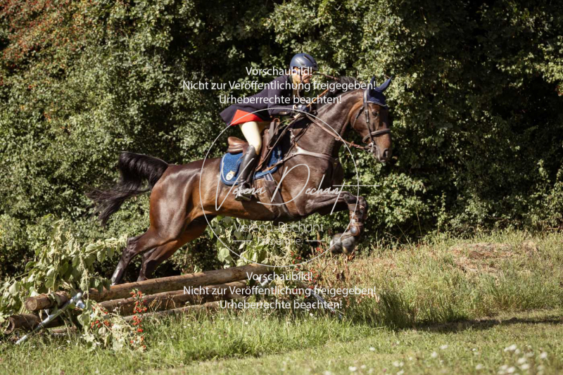 Gundelsdorf1_2025_105 Gundelsdorf1_2025_105