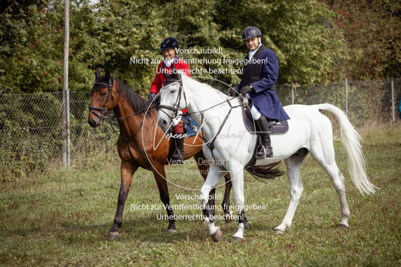 Gundelsdorf1_2025_106 Gundelsdorf1_2025_106