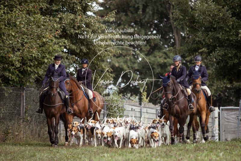 Gundelsdorf1_2025_107 Gundelsdorf1_2025_107