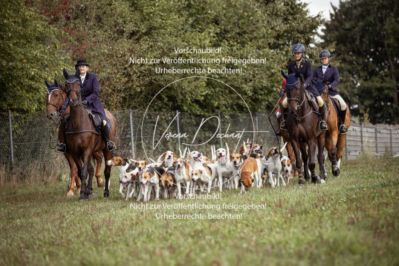 Gundelsdorf1_2025_108 Gundelsdorf1_2025_108