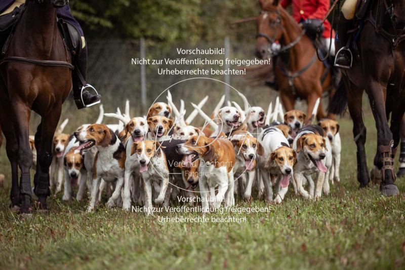 Gundelsdorf1_2025_109 Gundelsdorf1_2025_109