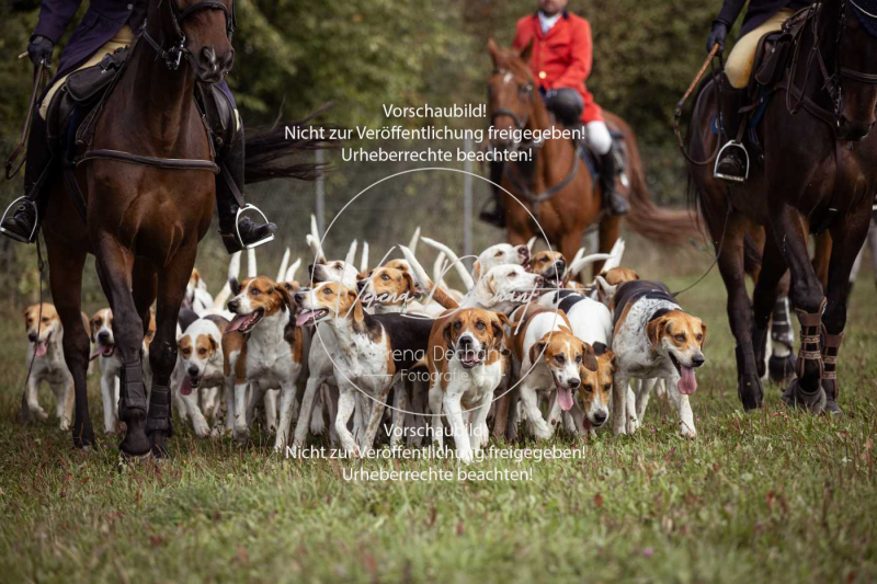 Gundelsdorf1_2025_110 Gundelsdorf1_2025_110