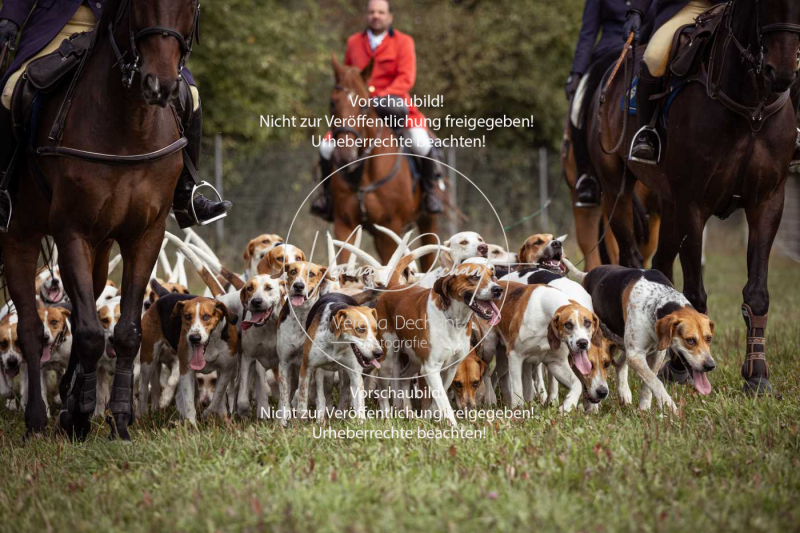 Gundelsdorf1_2025_111 Gundelsdorf1_2025_111