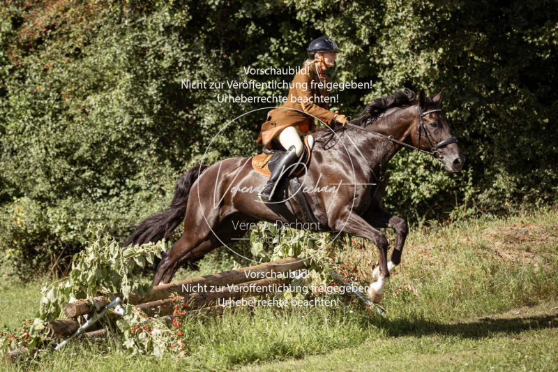 Gundelsdorf1_2025_112 Gundelsdorf1_2025_112