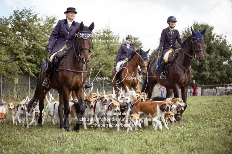 Gundelsdorf1_2025_113 Gundelsdorf1_2025_113