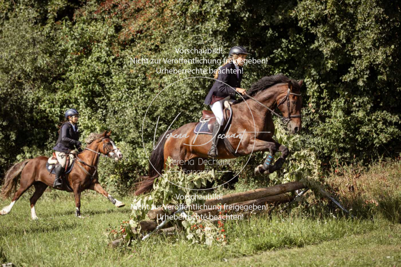 Gundelsdorf1_2025_114 Gundelsdorf1_2025_114