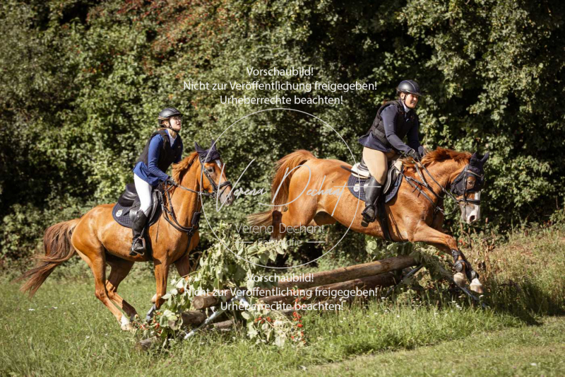 Gundelsdorf1_2025_116 Gundelsdorf1_2025_116