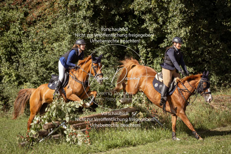 Gundelsdorf1_2025_117 Gundelsdorf1_2025_117