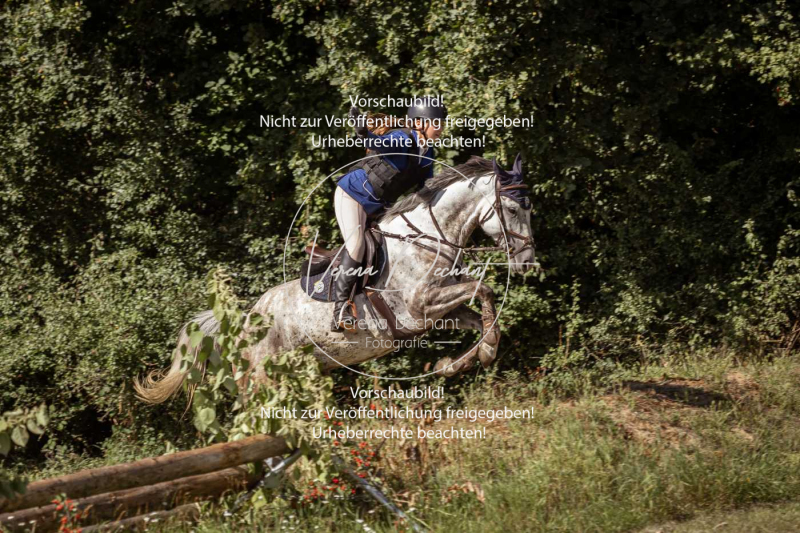 Gundelsdorf1_2025_118 Gundelsdorf1_2025_118