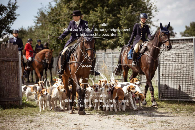 Gundelsdorf1_2025_123 Gundelsdorf1_2025_123