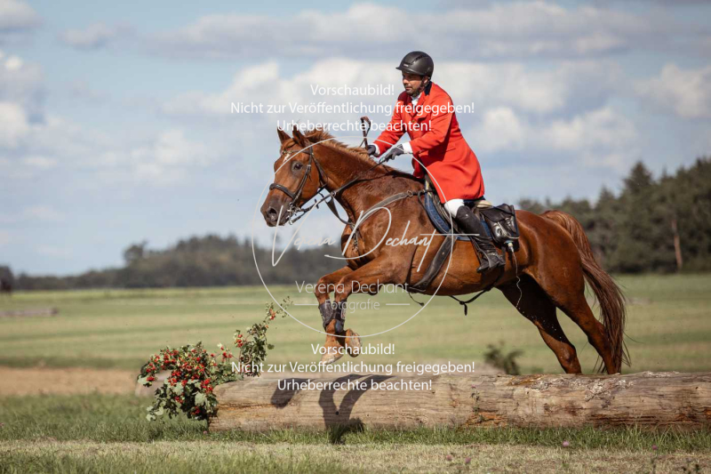 Gundelsdorf1_2025_129 Gundelsdorf1_2025_129