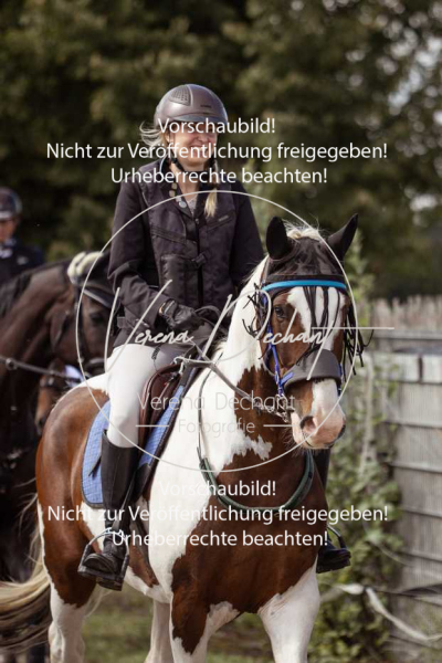 Gundelsdorf1_2025_131 Gundelsdorf1_2025_131