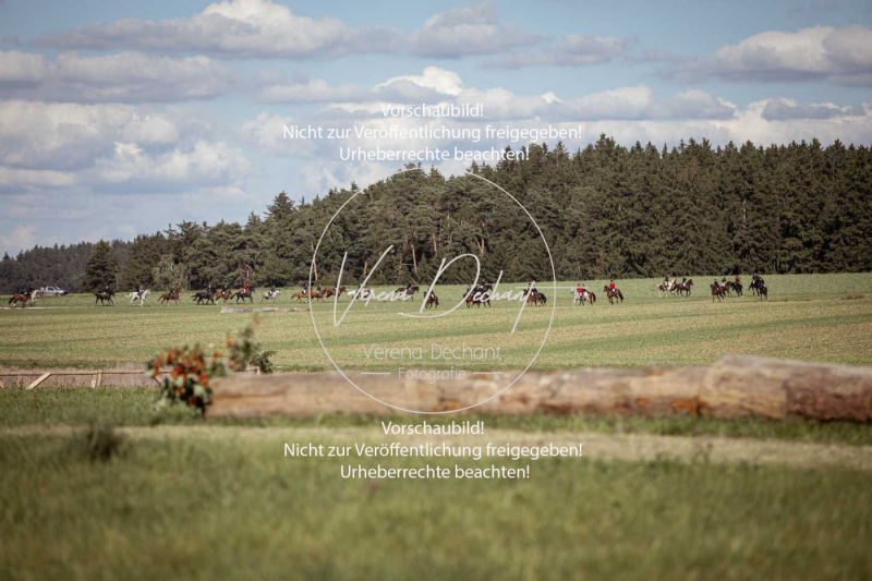 Gundelsdorf1_2025_133 Gundelsdorf1_2025_133