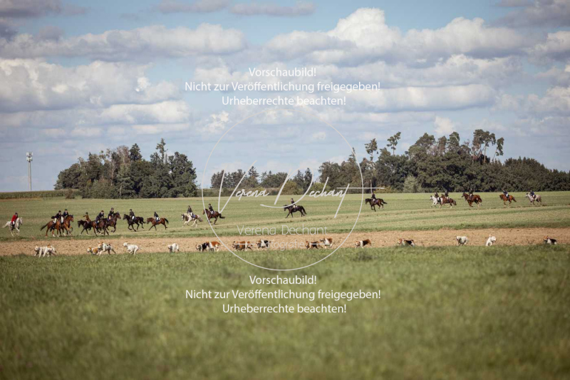 Gundelsdorf1_2025_134 Gundelsdorf1_2025_134