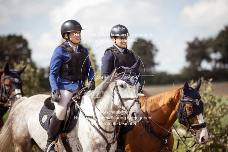 Gundelsdorf1_2025_136 Gundelsdorf1_2025_136