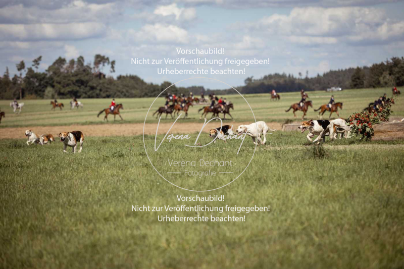 Gundelsdorf1_2025_137 Gundelsdorf1_2025_137