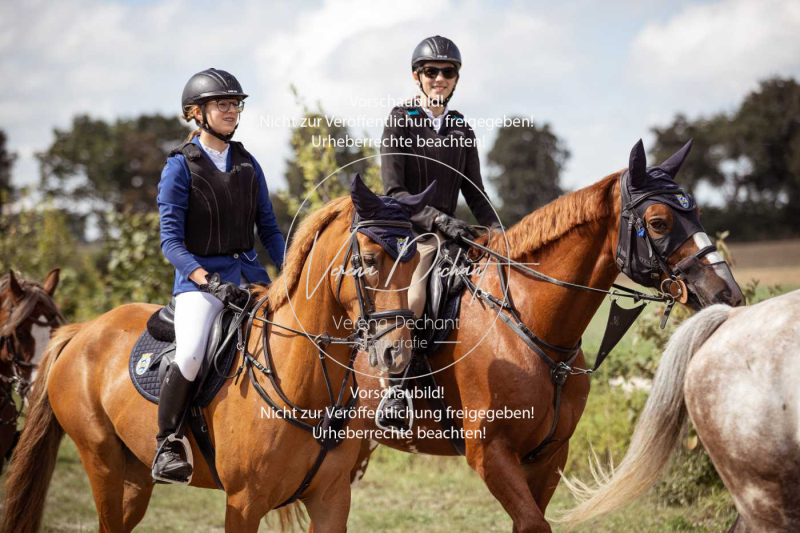 Gundelsdorf1_2025_138 Gundelsdorf1_2025_138