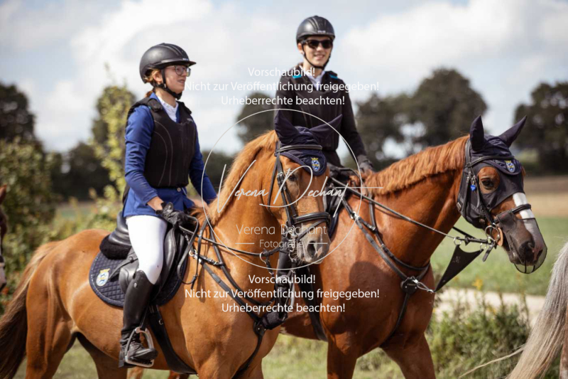 Gundelsdorf1_2025_139 Gundelsdorf1_2025_139