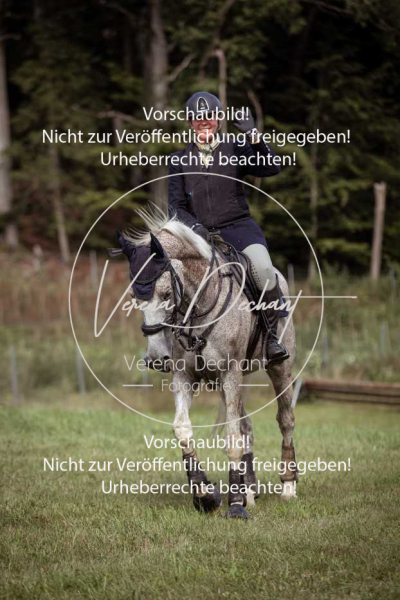 Gundelsdorf1_2025_14 Gundelsdorf1_2025_14