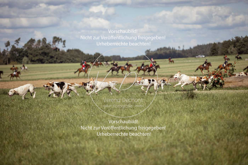 Gundelsdorf1_2025_140 Gundelsdorf1_2025_140