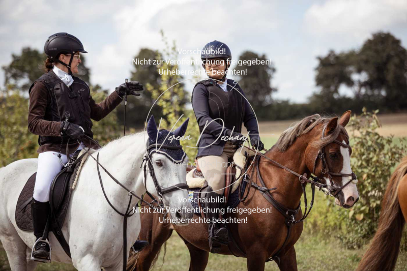 Gundelsdorf1_2025_141 Gundelsdorf1_2025_141