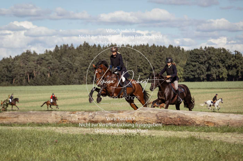 Gundelsdorf1_2025_153 Gundelsdorf1_2025_153