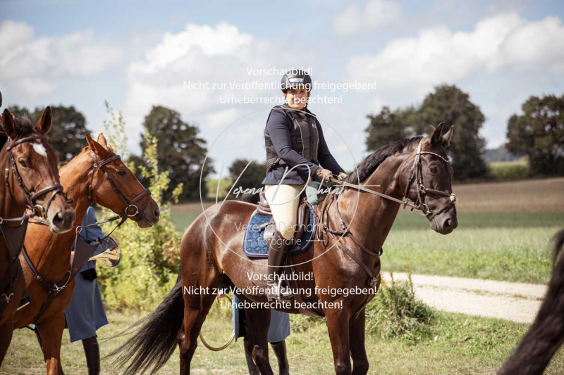 Gundelsdorf1_2025_154 Gundelsdorf1_2025_154