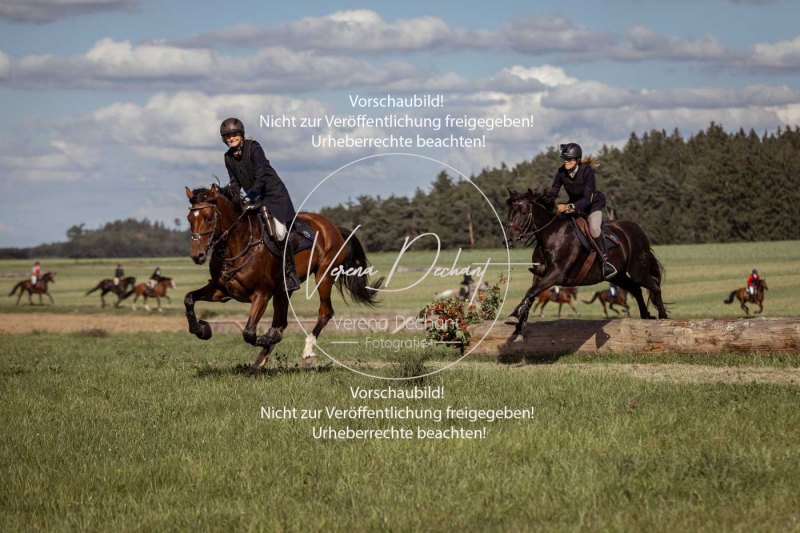 Gundelsdorf1_2025_156 Gundelsdorf1_2025_156