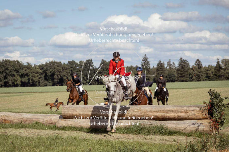 Gundelsdorf1_2025_157 Gundelsdorf1_2025_157