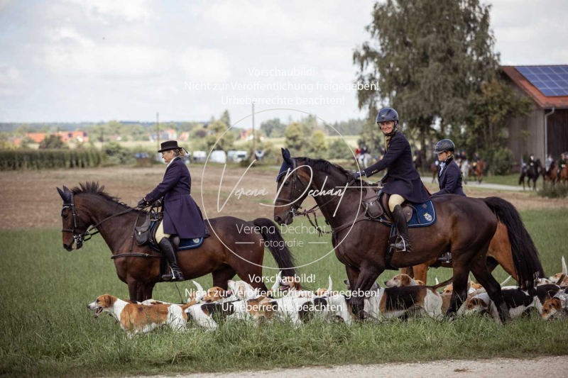 Gundelsdorf1_2025_158 Gundelsdorf1_2025_158