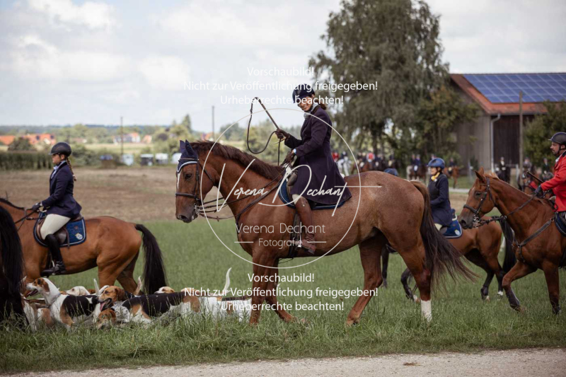 Gundelsdorf1_2025_160 Gundelsdorf1_2025_160