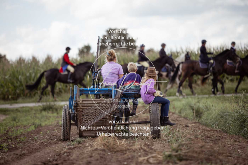 Gundelsdorf1_2025_162 Gundelsdorf1_2025_162