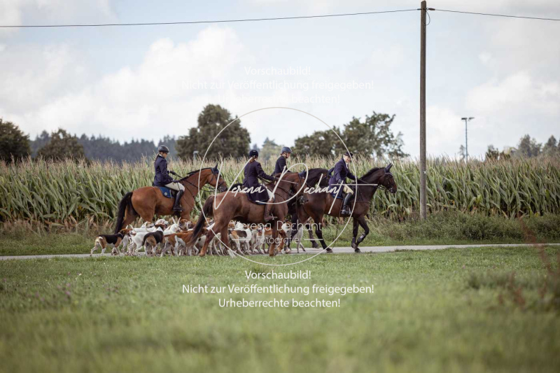 Gundelsdorf1_2025_163 Gundelsdorf1_2025_163