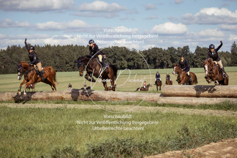 Gundelsdorf1_2025_164 Gundelsdorf1_2025_164