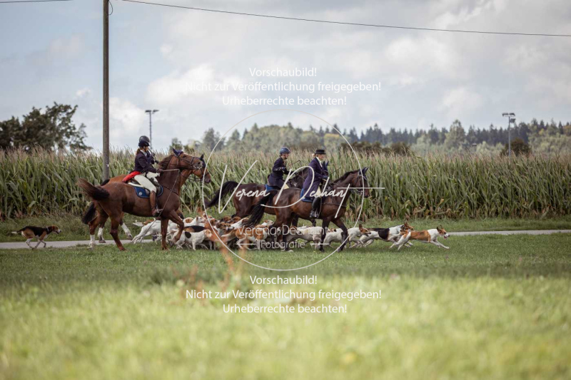 Gundelsdorf1_2025_165 Gundelsdorf1_2025_165