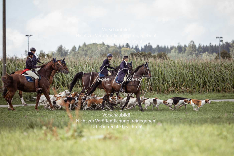 Gundelsdorf1_2025_167 Gundelsdorf1_2025_167