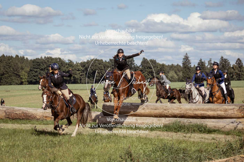 Gundelsdorf1_2025_168 Gundelsdorf1_2025_168