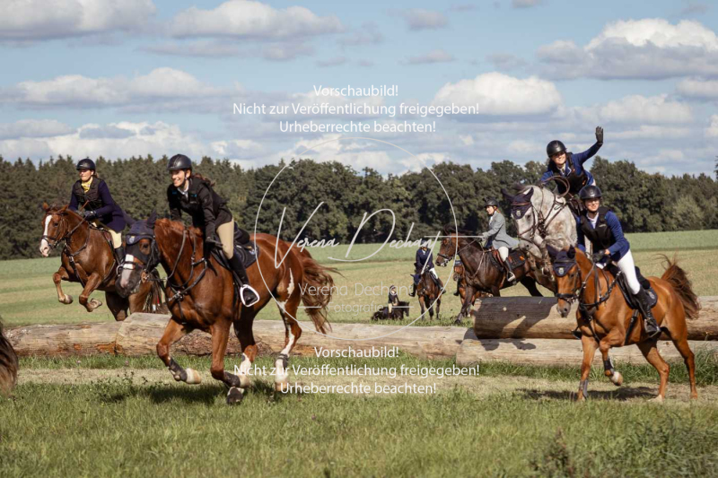 Gundelsdorf1_2025_169 Gundelsdorf1_2025_169