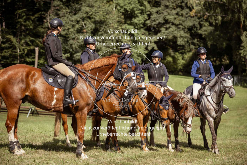 Gundelsdorf1_2025_17 Gundelsdorf1_2025_17