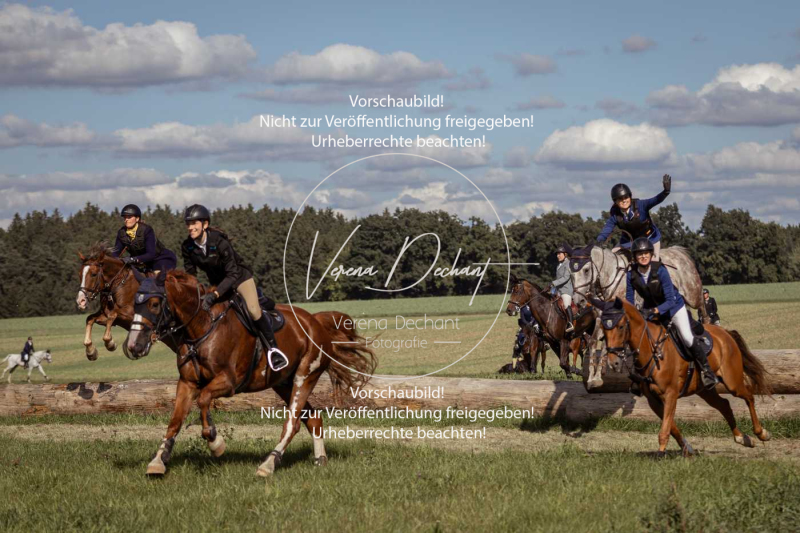 Gundelsdorf1_2025_170 Gundelsdorf1_2025_170