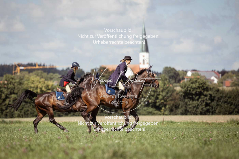 Gundelsdorf1_2025_171 Gundelsdorf1_2025_171