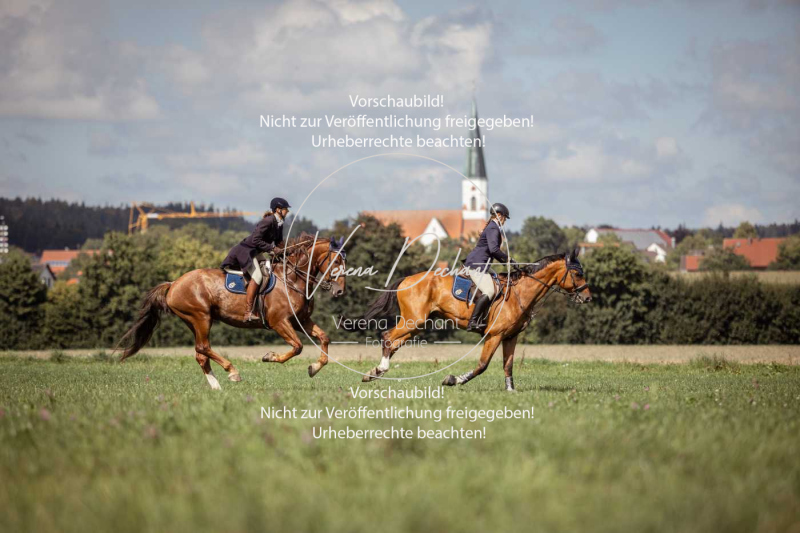 Gundelsdorf1_2025_172 Gundelsdorf1_2025_172