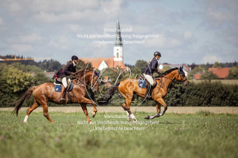 Gundelsdorf1_2025_173 Gundelsdorf1_2025_173